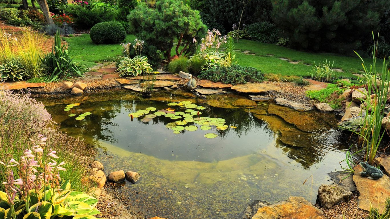 Рытьё водоёмов