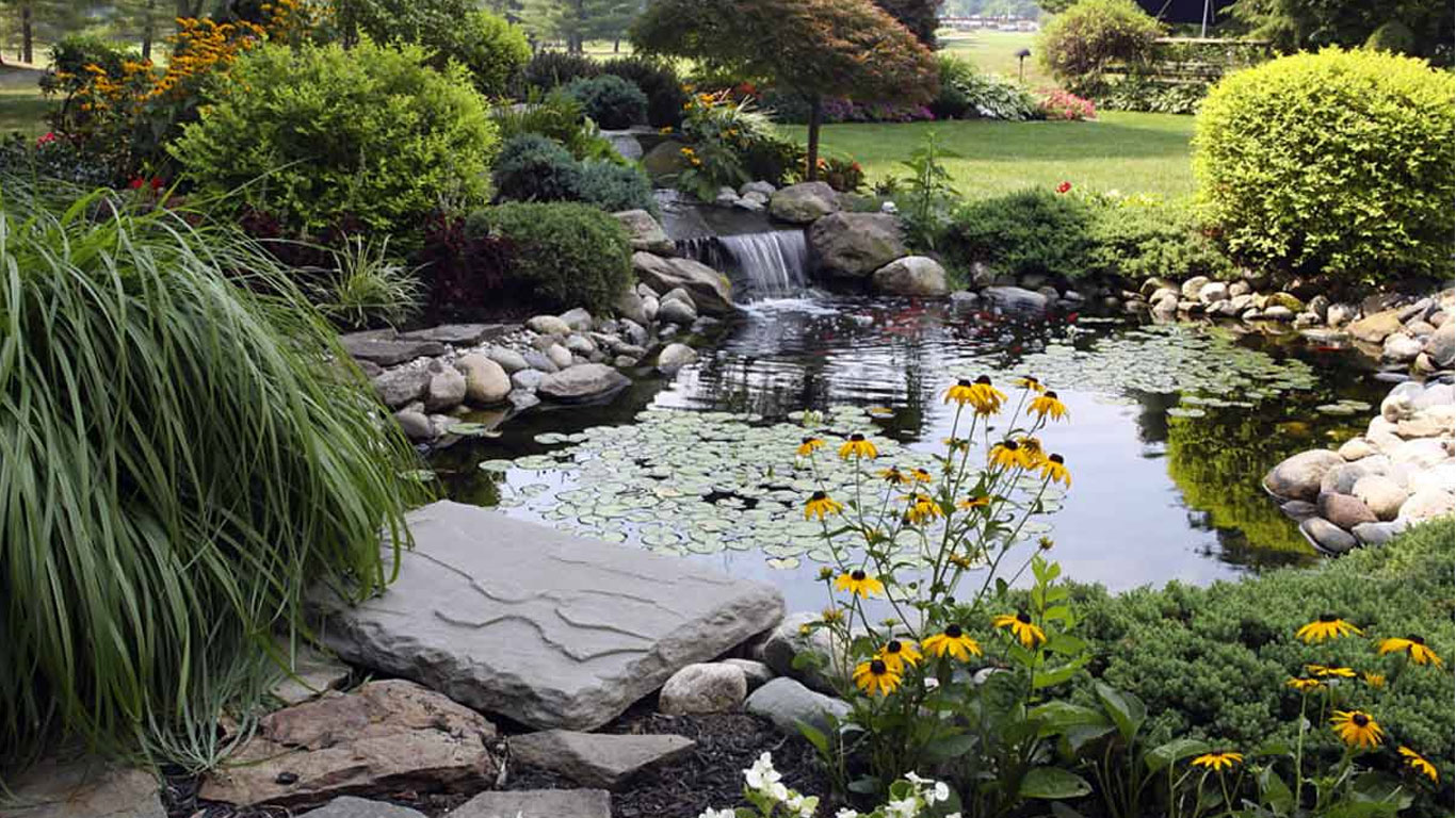 Рытьё водоёмов