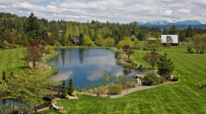 Рытьё водоёмов