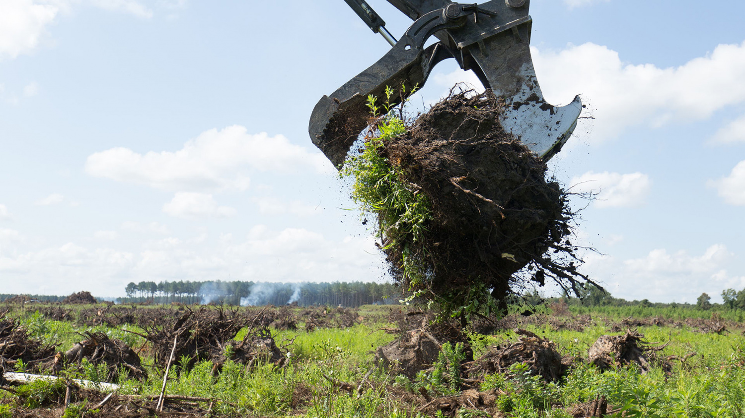 Корчевание пней